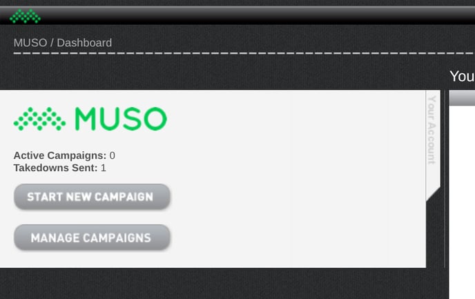 Start new campaign screenshot